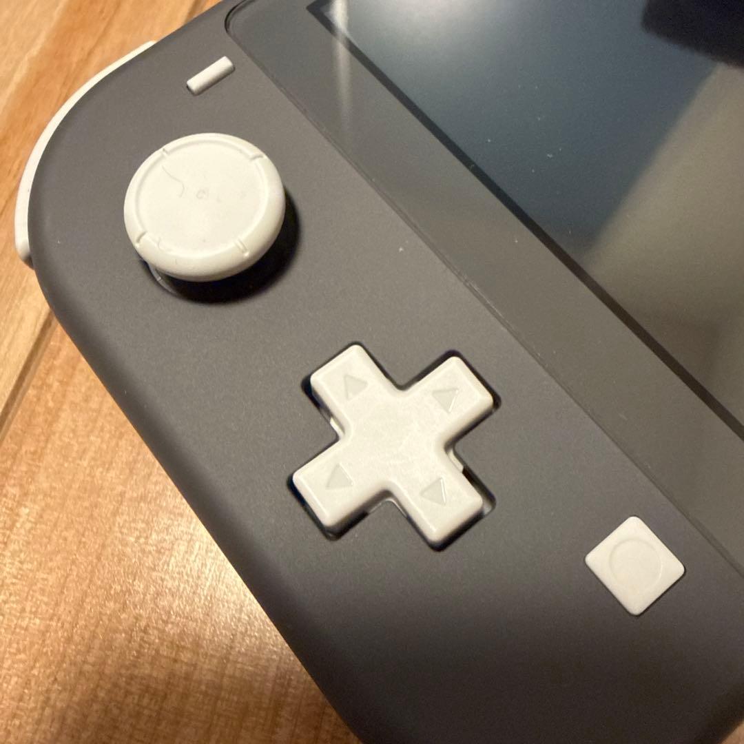 Nintendo Switch Lite グレー 本体 (充電器とケース付き)