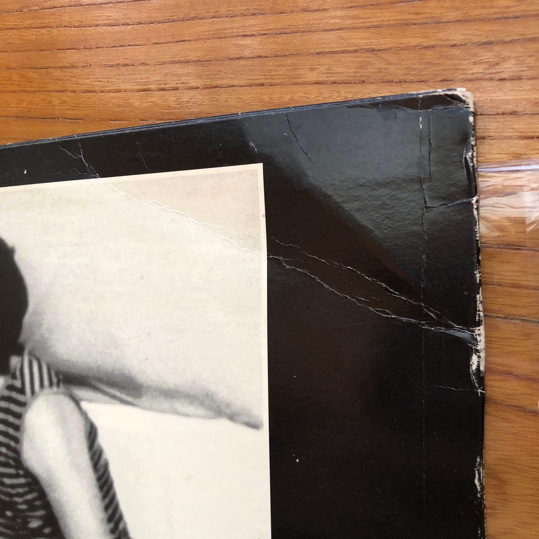 VINCENT GALLO buffalo 66 LP レコード　初回プレス