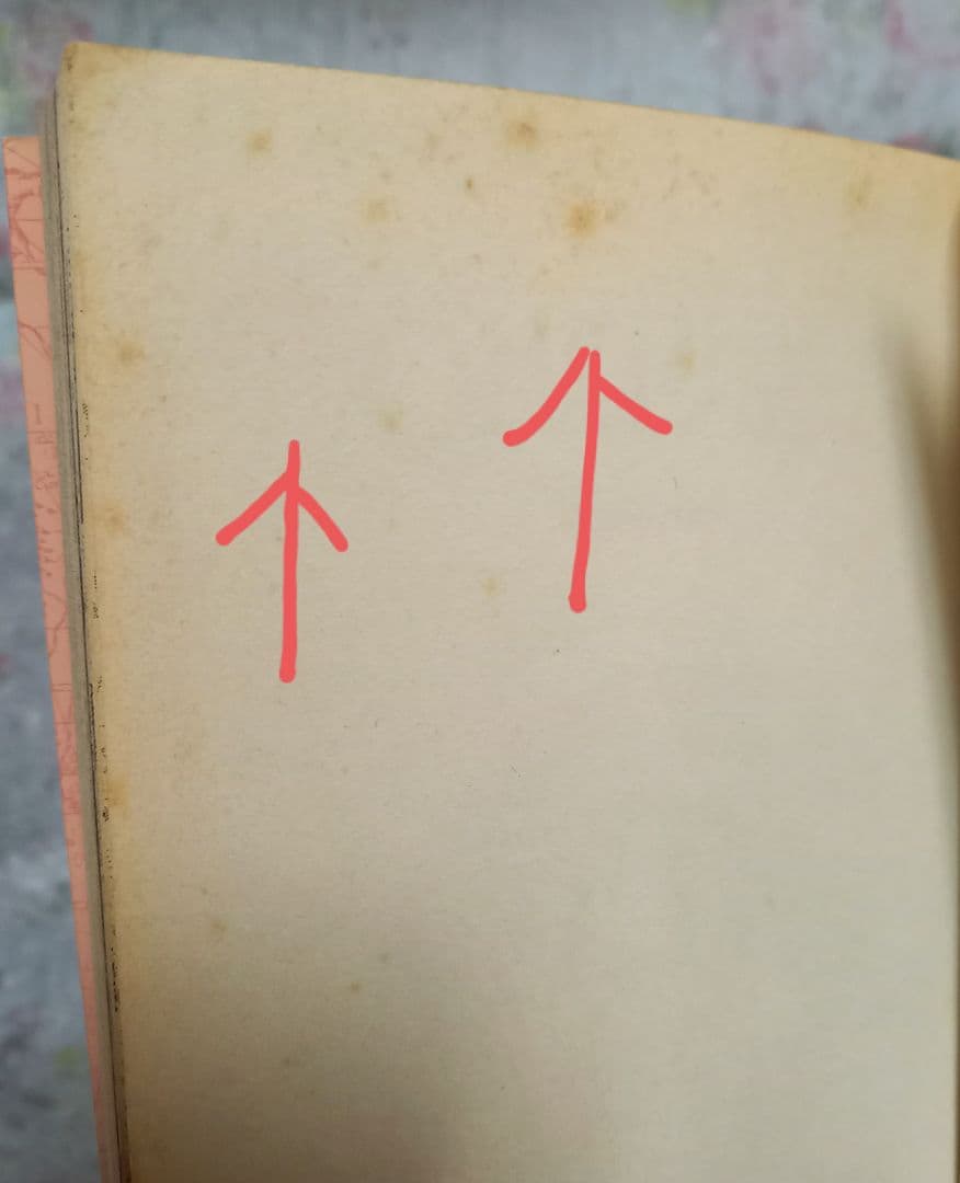 ワンピース【ONE PIECE】マンガ　1～81巻　+　その他関連本セット