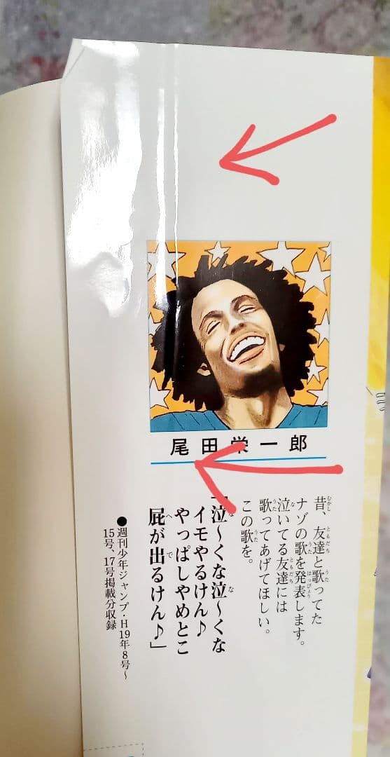 ワンピース【ONE PIECE】マンガ　1～81巻　+　その他関連本セット