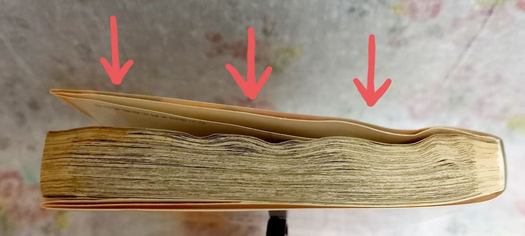 ワンピース【ONE PIECE】マンガ　1～81巻　+　その他関連本セット