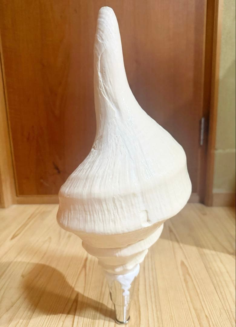 綺麗な特大45㎝アラフラオオニシ 法螺貝　ほら貝　ホラガイ