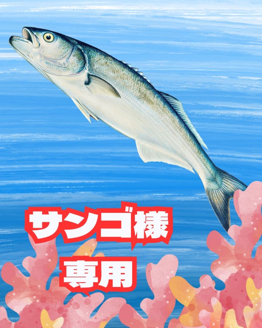 サンゴ