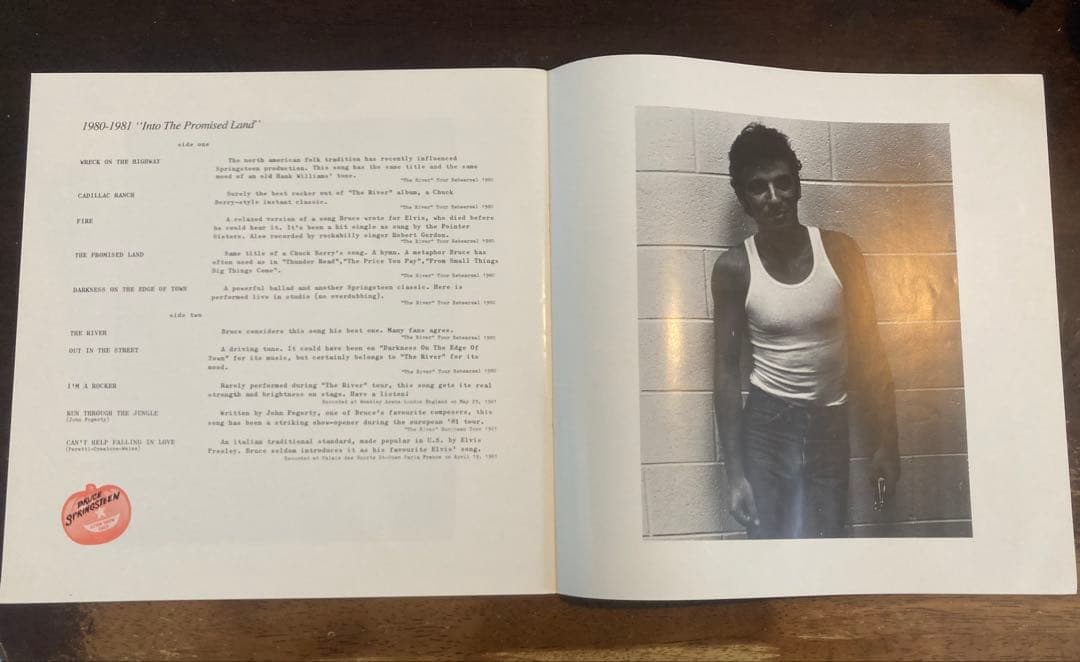 ◾️史上最高アイテム/究極10LPボックス■BRUCE SPRINGSTEEN /