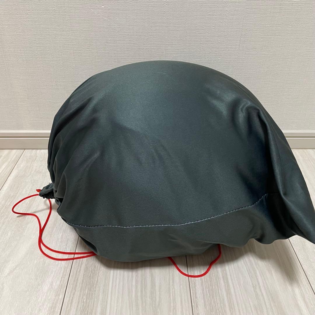 【美品】ALPINA スキーヘルメット ゴーグル付き