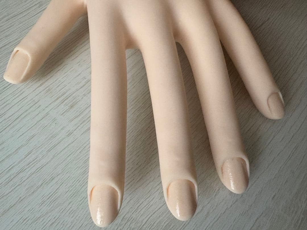 ジェル検定STモデルハンド ネイリスト技能検定試験用 JNEC認定モデルハンド