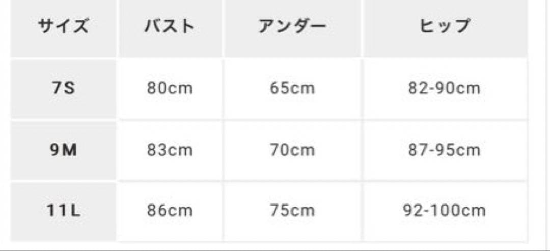 サンアイリゾート水着　三愛楽園ビキニ　フリル付き水着