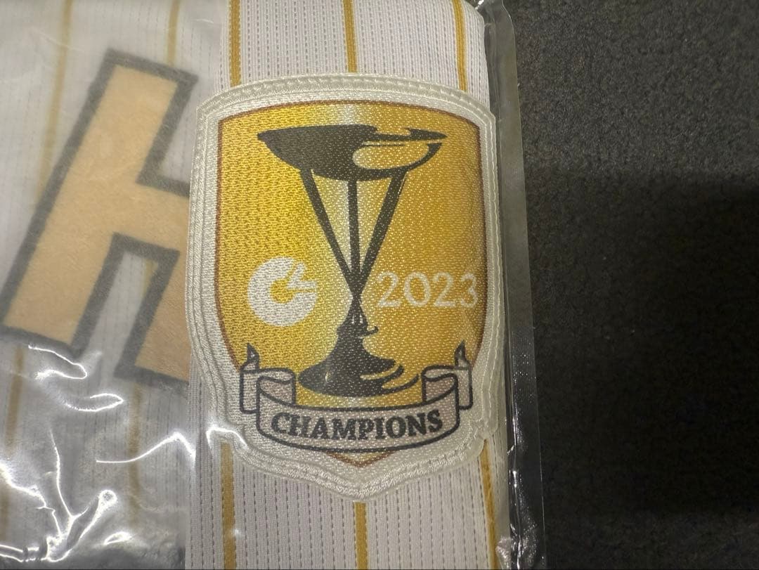 新品未使用 阪神タイガース 伊藤将司　チャンピオン　ユニフォーム　サイズL