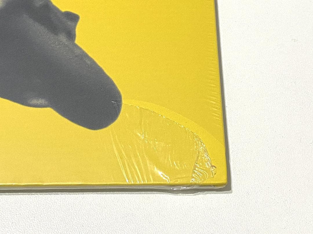 THE BROWN BUNNY オリジナル盤