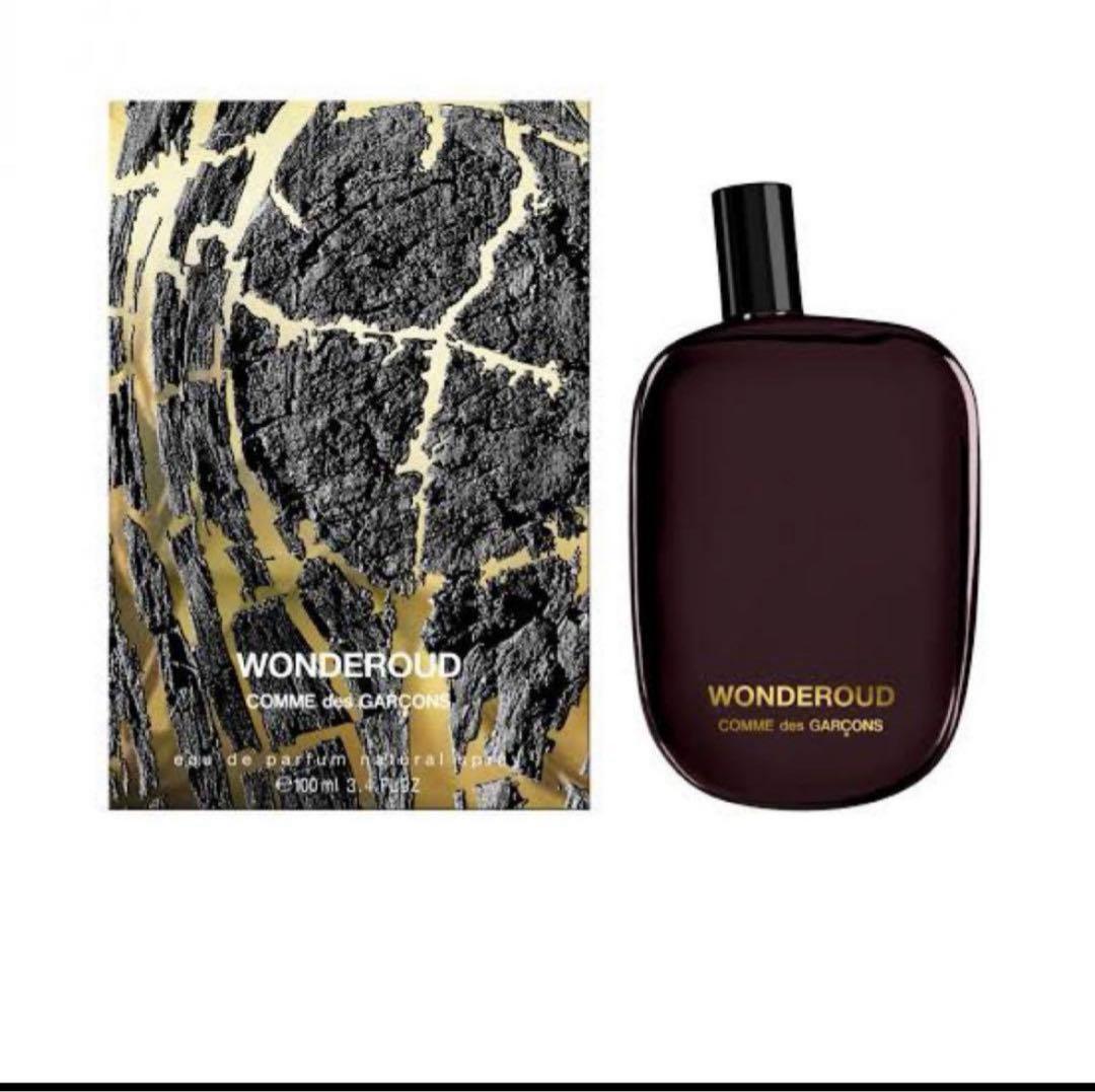 香水(男性用) COMME des GARCONS WONDEROUD 100ml