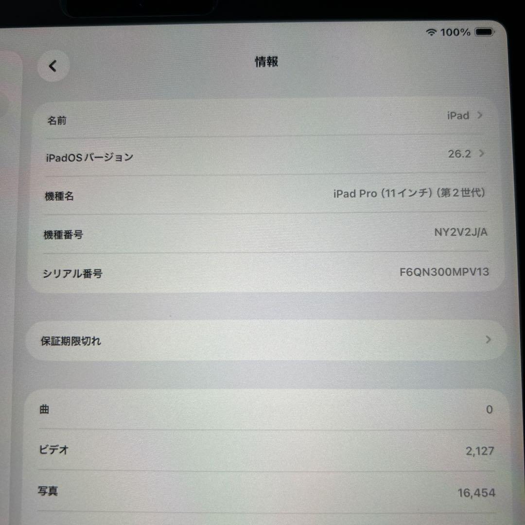 iPad pro 第二世代 スペースグレー128GBcellular 【美品】