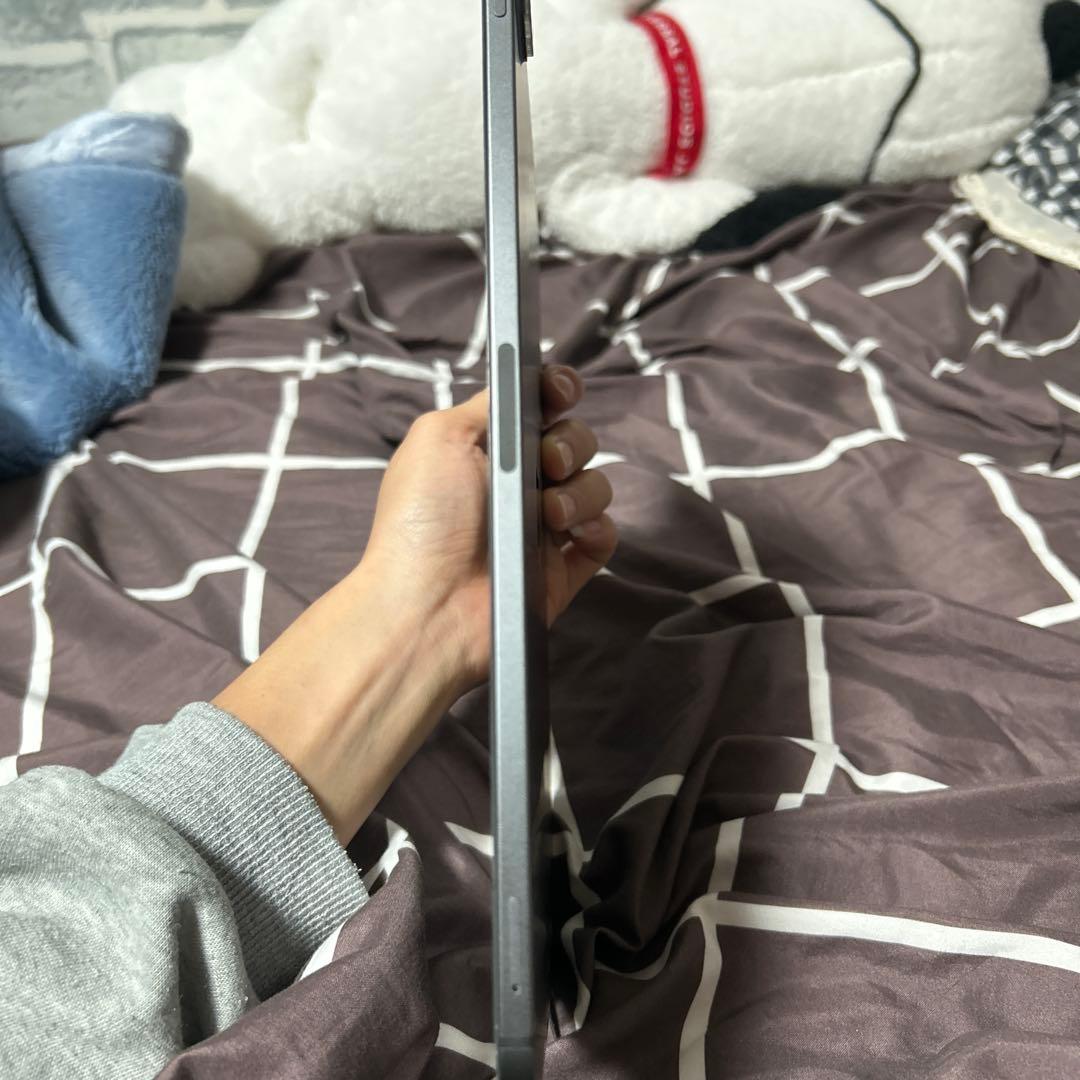 iPad pro 第二世代 スペースグレー128GBcellular 【美品】