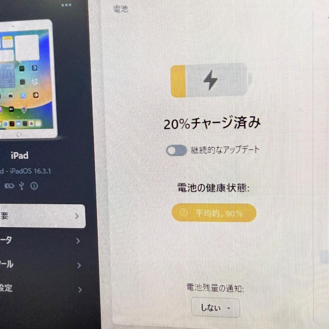 水*ん様 ④iPad　本体　128GB　WiFi+Cellularモデル　箱なし