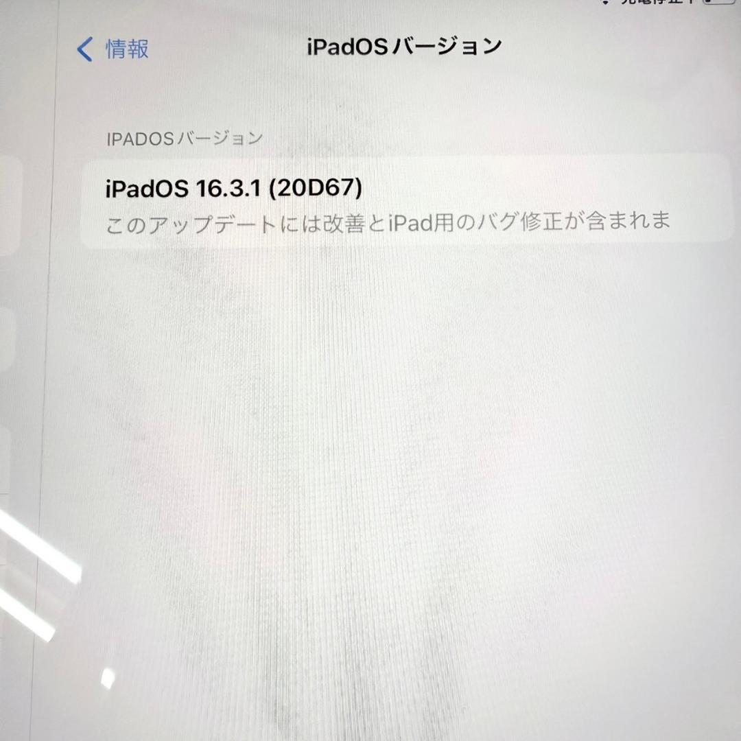 水*ん様 ④iPad　本体　128GB　WiFi+Cellularモデル　箱なし