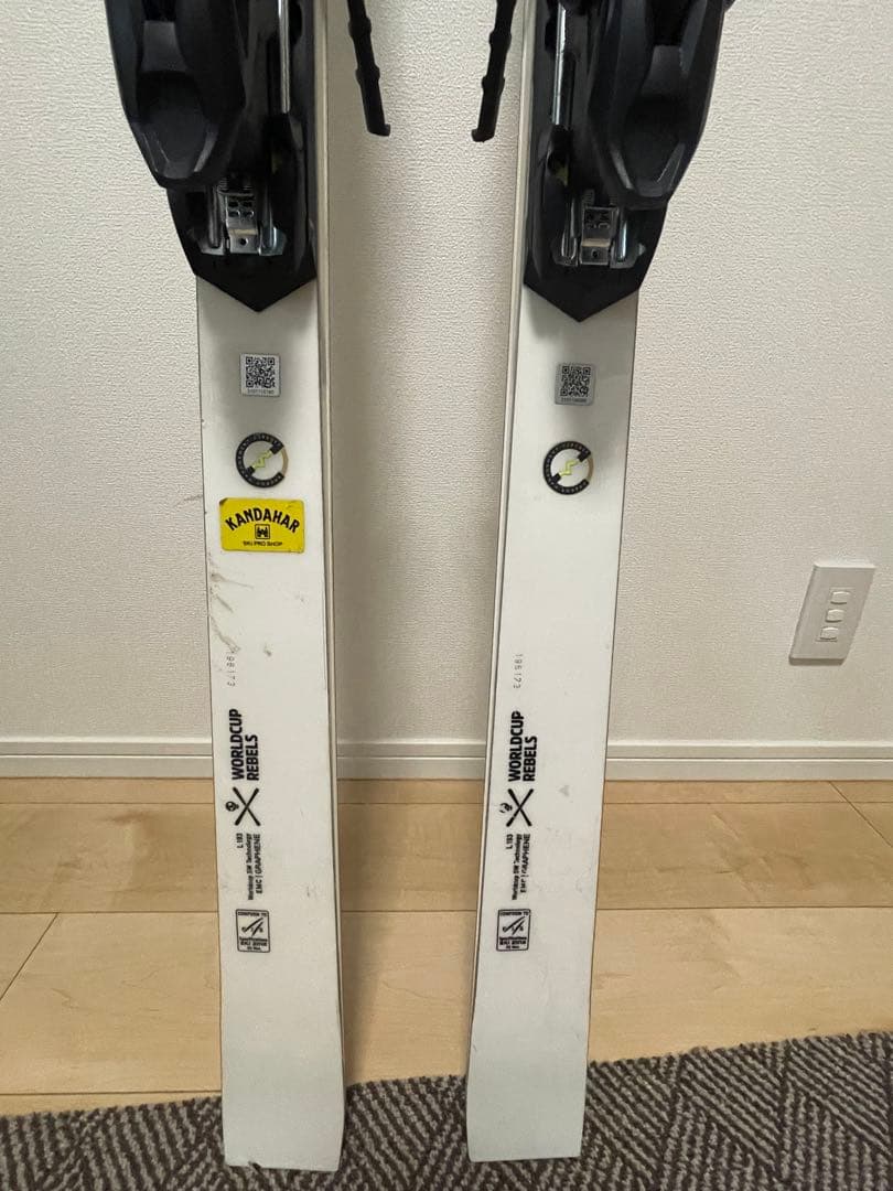 スキー HEAD WORLDCUP REBELS E-GS RD FIS