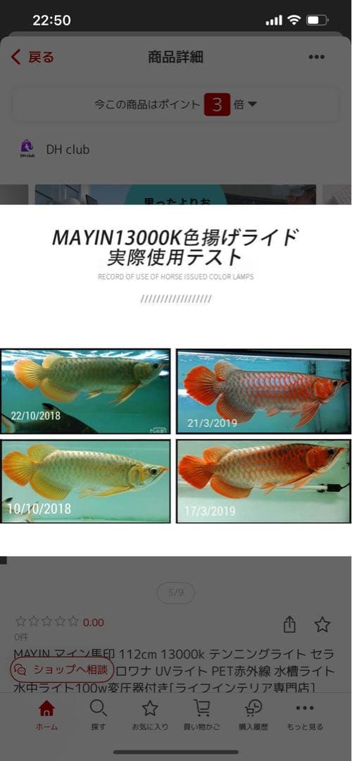 タンニングライト　マイン　馬印