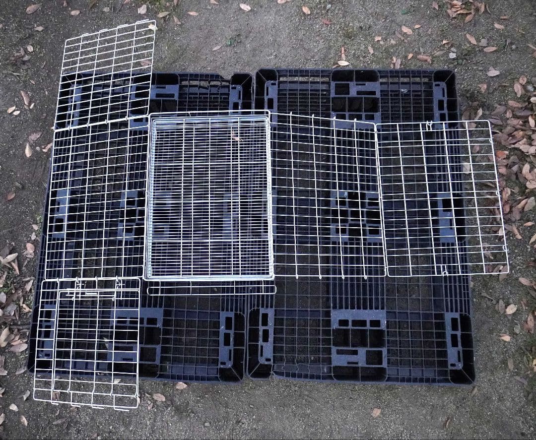 ハチコウ ステンレスケージ Mサイズ