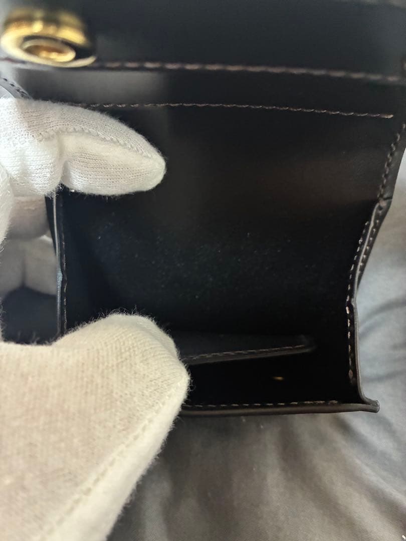 R*y様 【新品未使用 希少】ワイルドスワンズ　ヒポポタマス　パームV2　チョコ