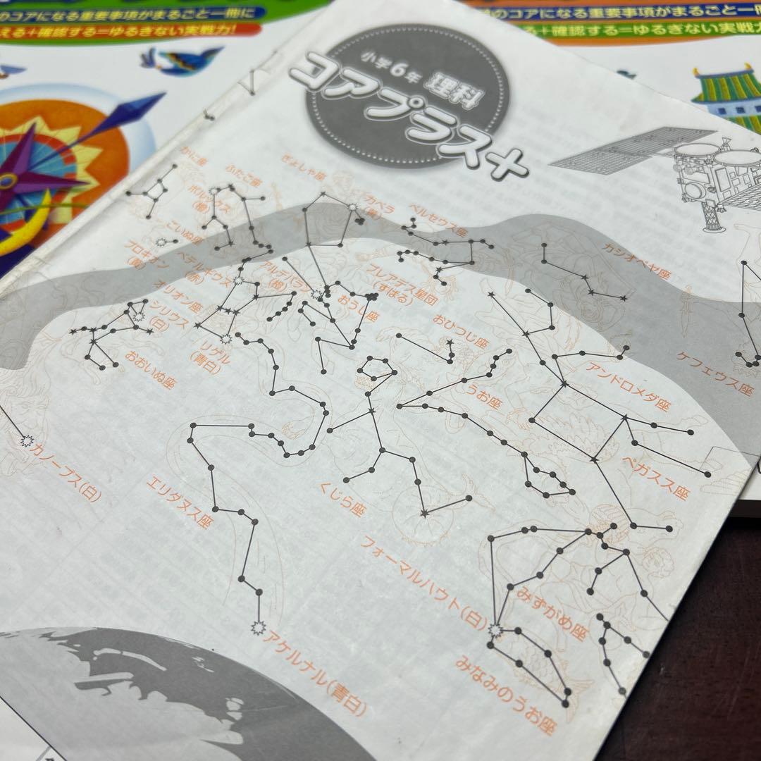 18-19 サピックス SAPIX 社会コアプラス　理科コアプラス　重要教材❣️