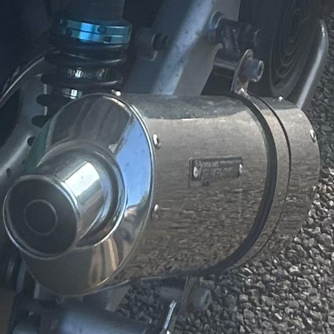 シグナスSE44j SP武川パワーサイレントオーバル