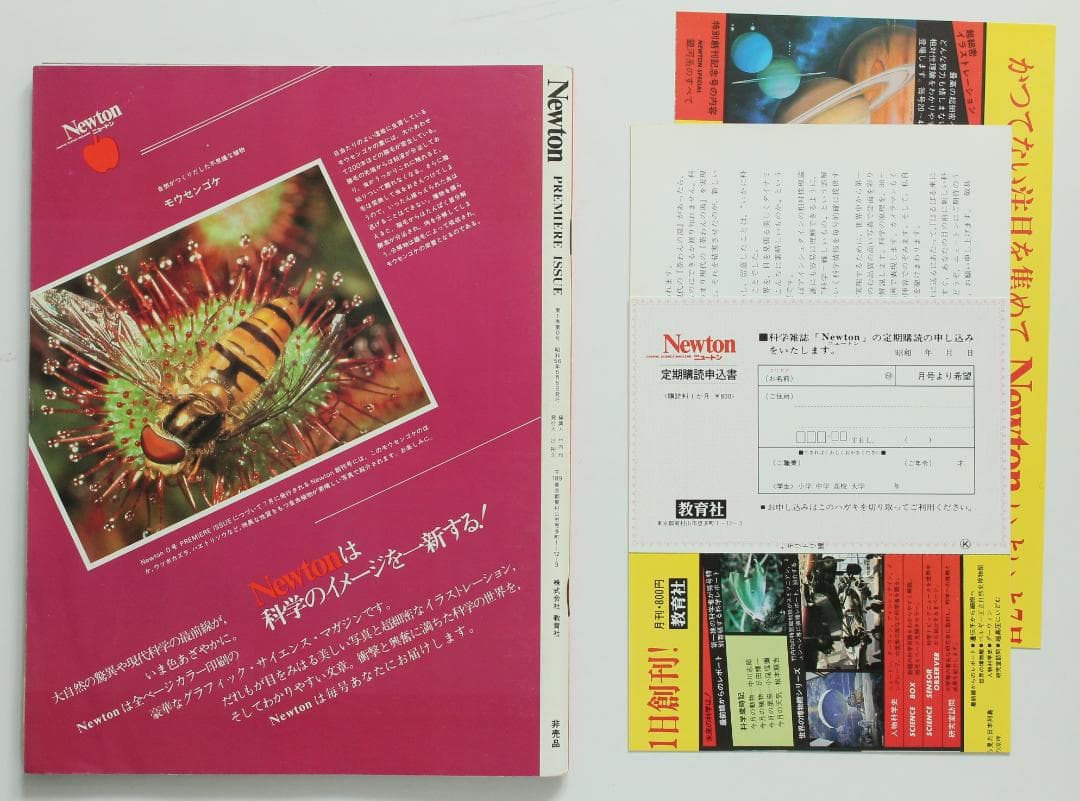 NEWTON 0号　創刊準備号　申込用紙　昭和56年