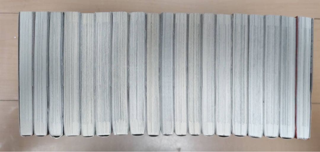 シャドーハウス 全19巻セット