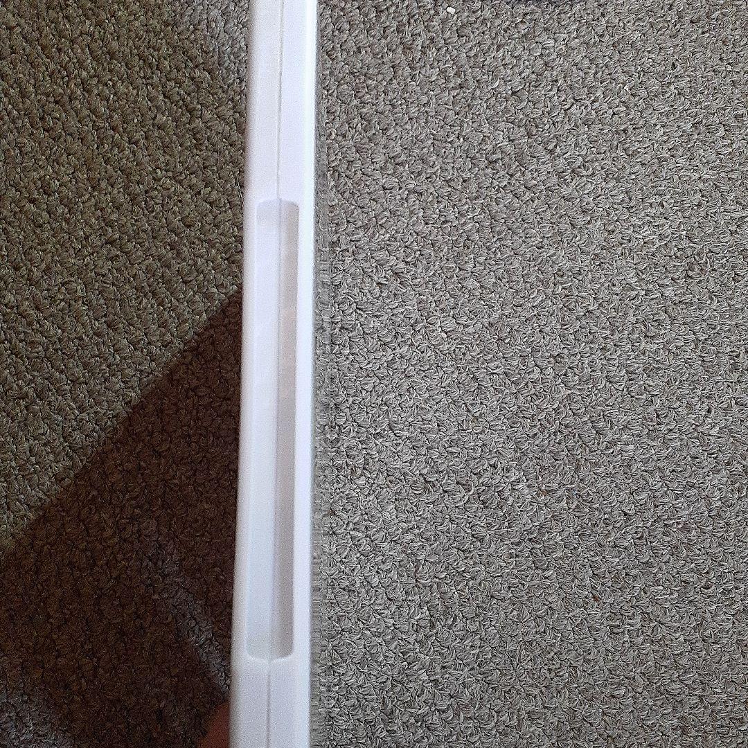 【新品・未開封】おニャン子クラブin月曜ドラマランド　DVD【レア商品】