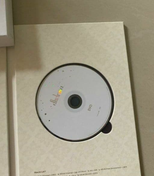 IU  10th Anniversary dlwlrma ライブコンサートDVD