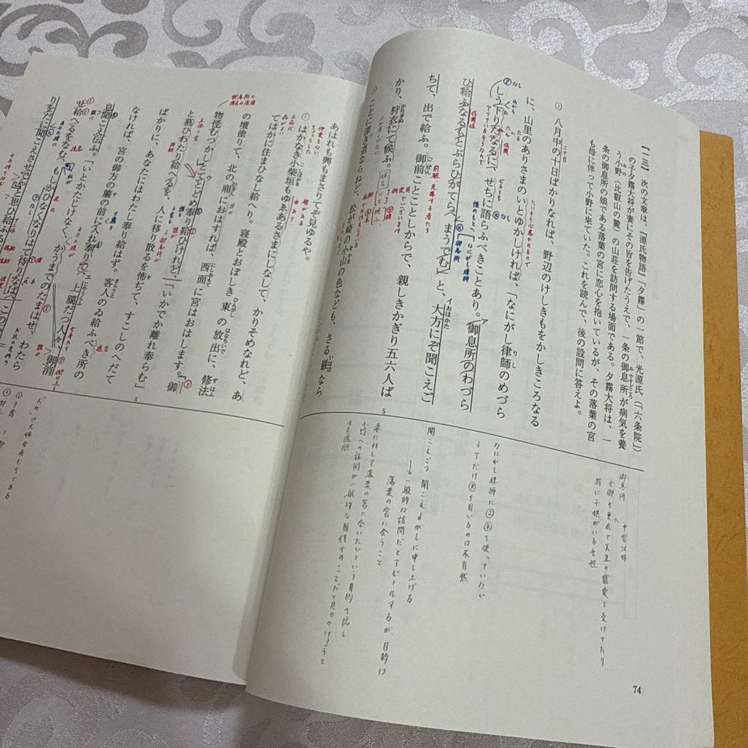 駿台 EX東大文系演習コース 最上位クラス 現代文 古文 漢文 フルセット