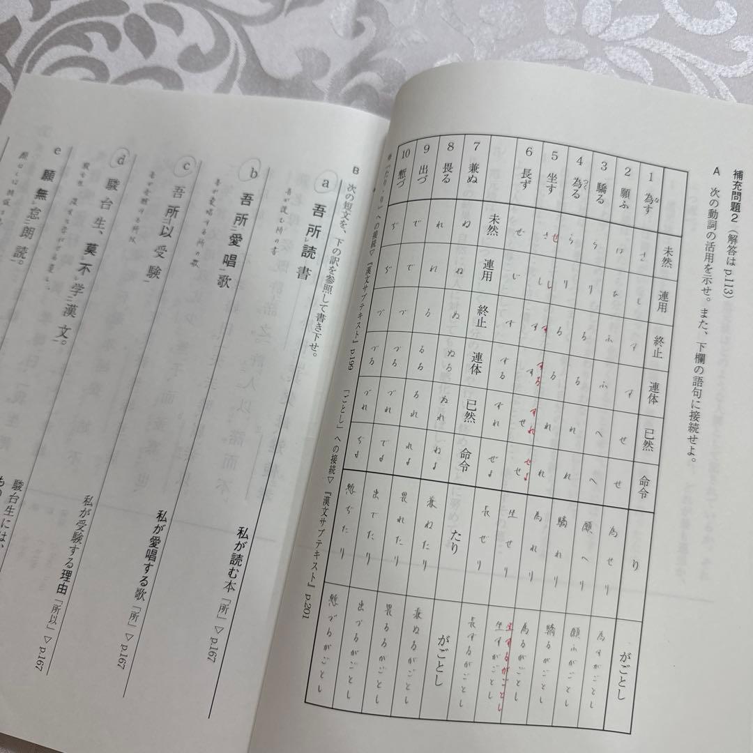 駿台 EX東大文系演習コース 最上位クラス 現代文 古文 漢文 フルセット