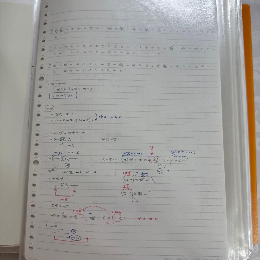 駿台 EX東大文系演習コース 最上位クラス 現代文 古文 漢文 フルセット