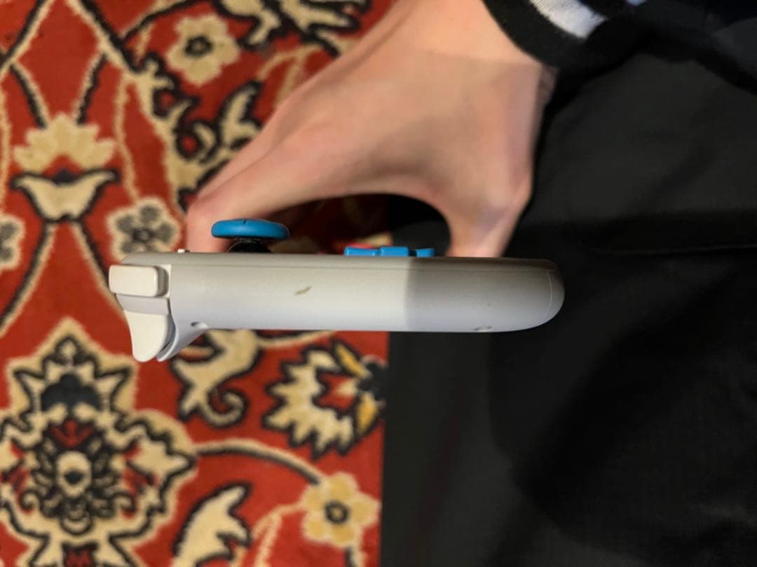 Nintendo Switch Lite グレー/青/赤本体のみ