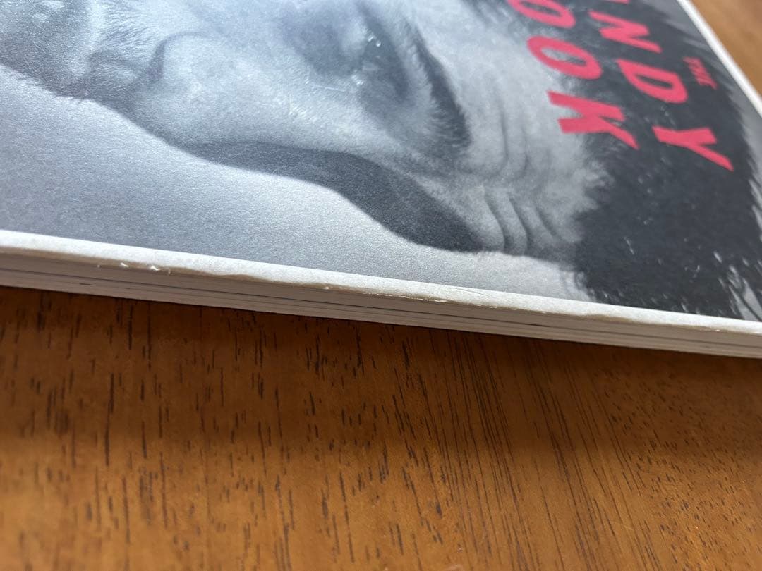 THE ANDY BOOK BRUCE WEBER ブルースウェバー