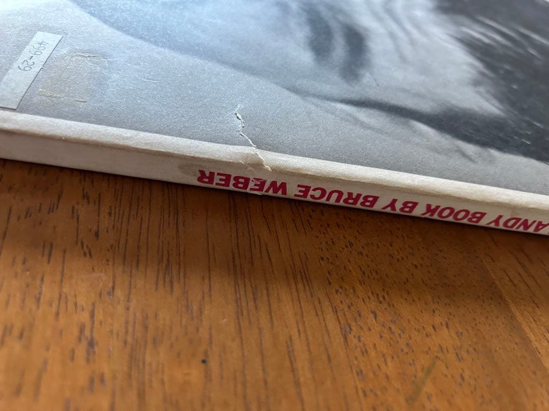 THE ANDY BOOK BRUCE WEBER ブルースウェバー