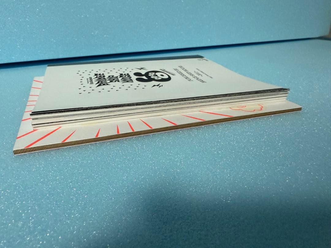 ブリッジシップハウス激レアZINE2冊 BRIDGE SHIP HOUSE