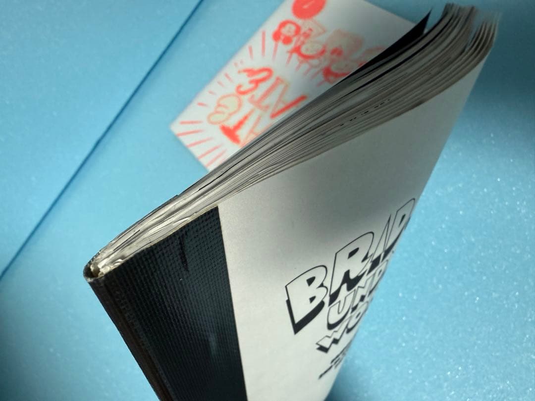 ブリッジシップハウス激レアZINE2冊 BRIDGE SHIP HOUSE