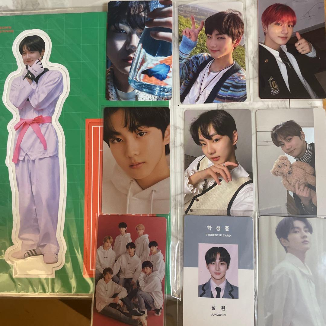 enhypen ジョンウォン 学生証 Answer ユニフォーム 閃光 クマ