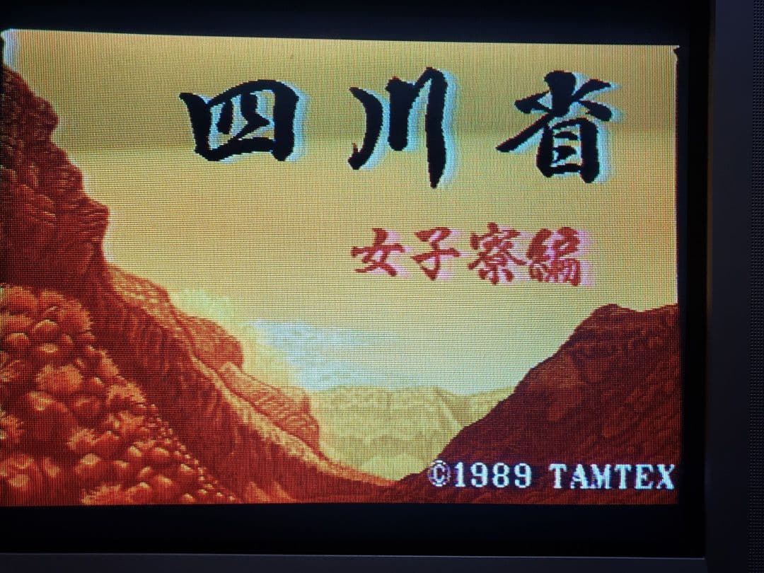 アイレム アーケード基板 四川省女子寮編