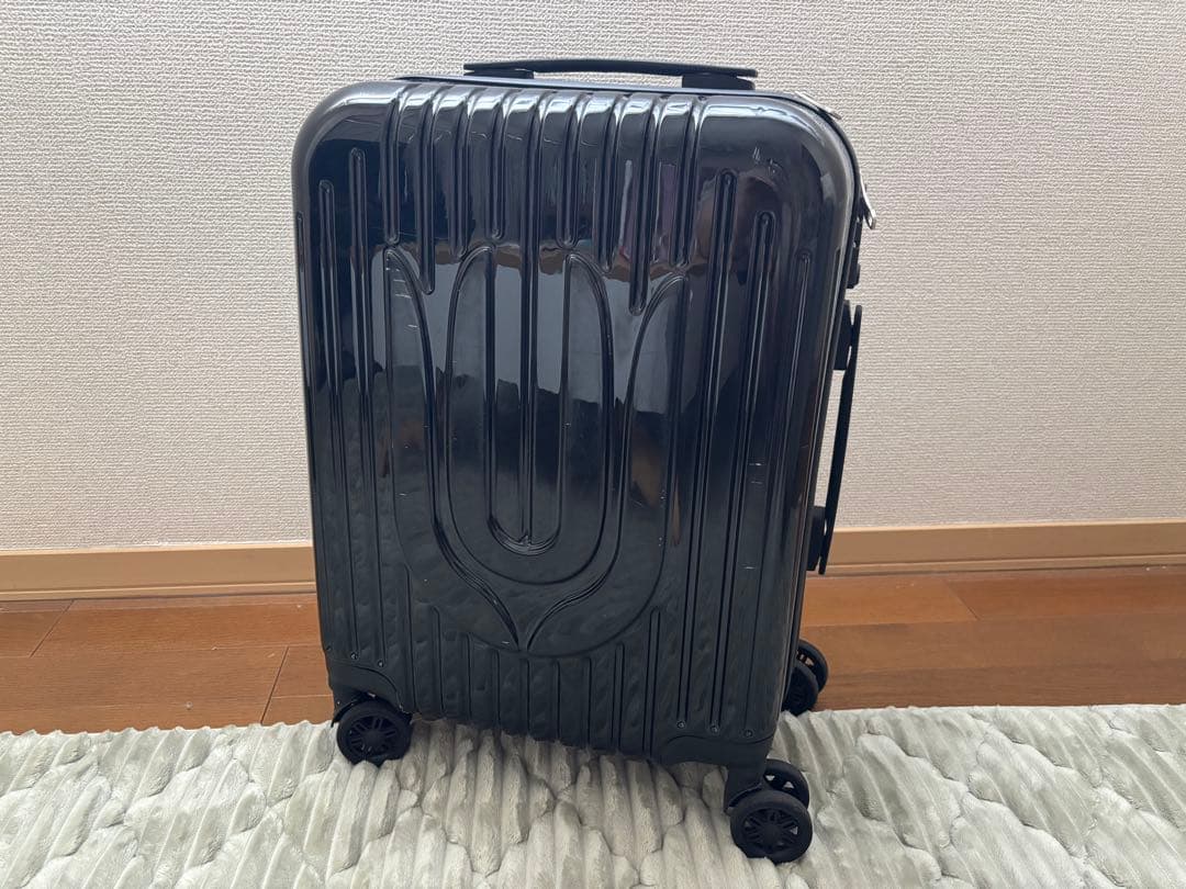 ユニゾンスクエアガーデン　キャリーケース