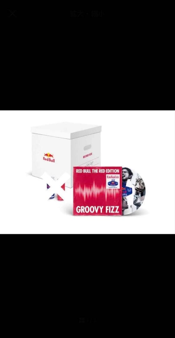 【非売品】King Gnu レッドブル コラボ【鳴 り響く鼓動の翼キット】