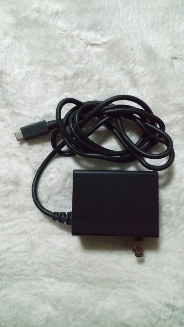 Nintendo Switch Lite コーラル 動作品 アダプター セット