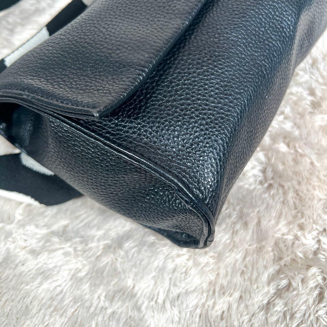 ear PAPILLONNE ショルダーバッグ ワイド ダルメシアン