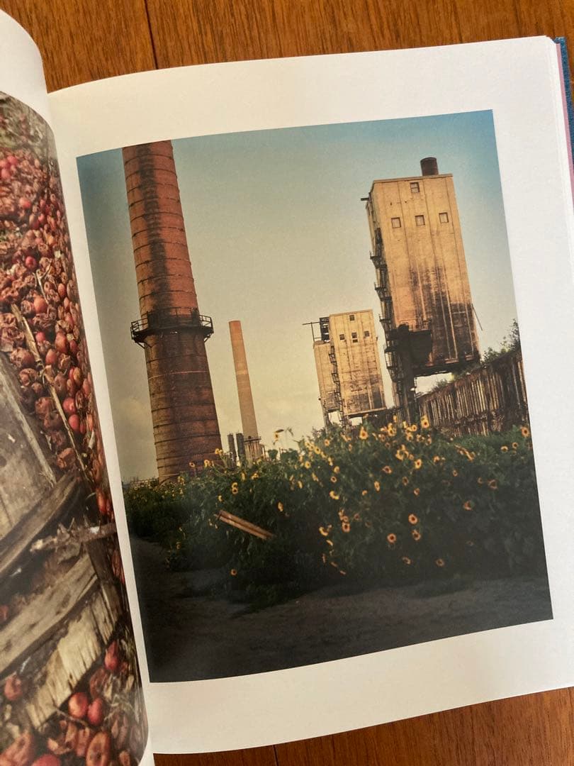 洋書 GREGORY HALPERN