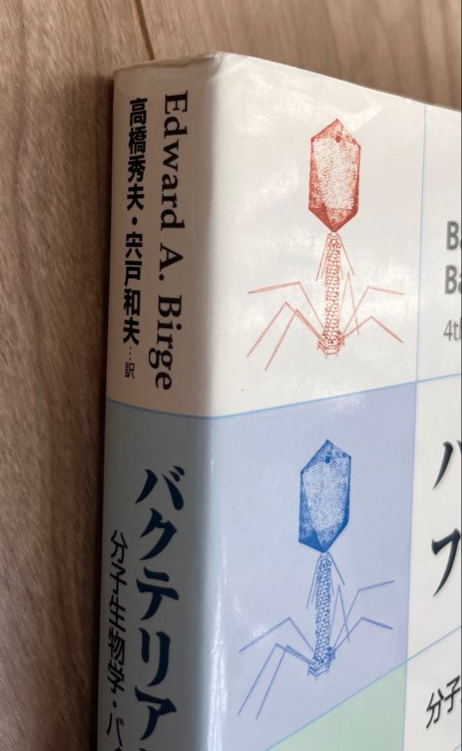 希少　バクテリアとファージの遺伝学　分子生物学・バイオテクノロジーの基盤