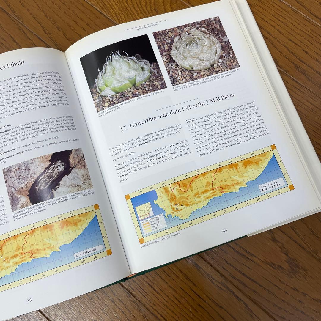 Haworthia Revisited ハオルチア 洋書