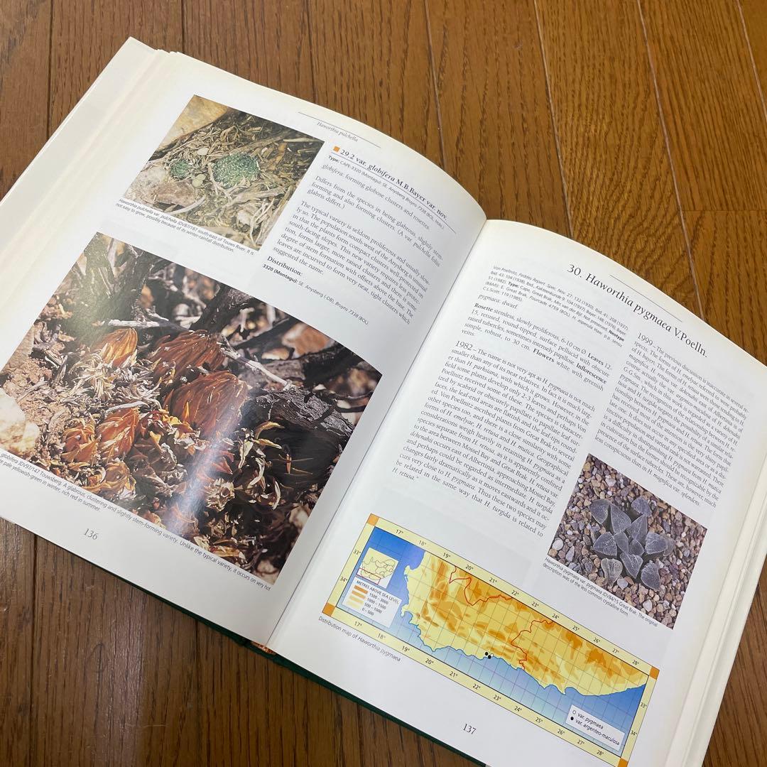 Haworthia Revisited ハオルチア 洋書