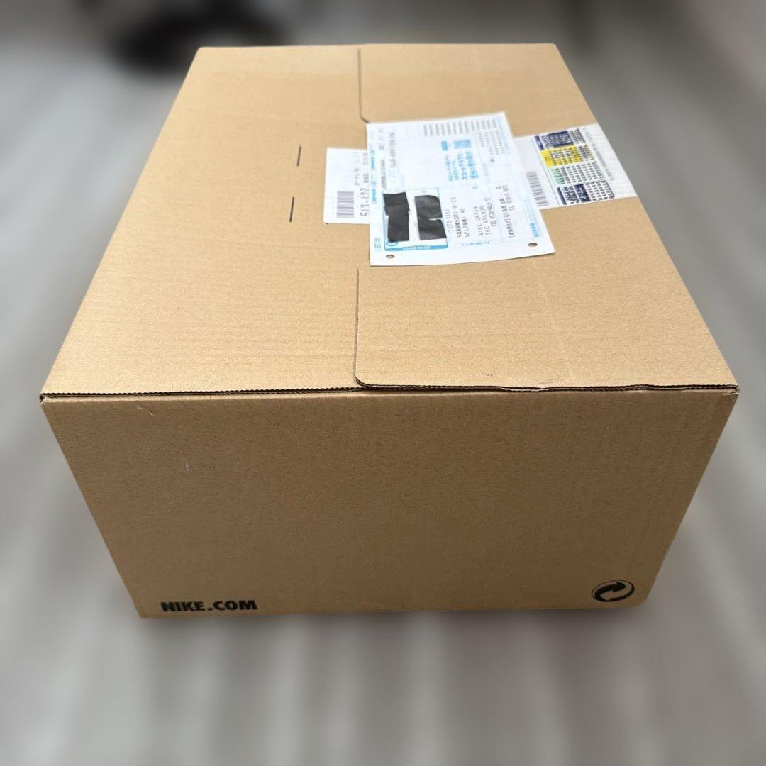 エアジョーダン1 シカゴ Lost & Found【未開封】29.0cm