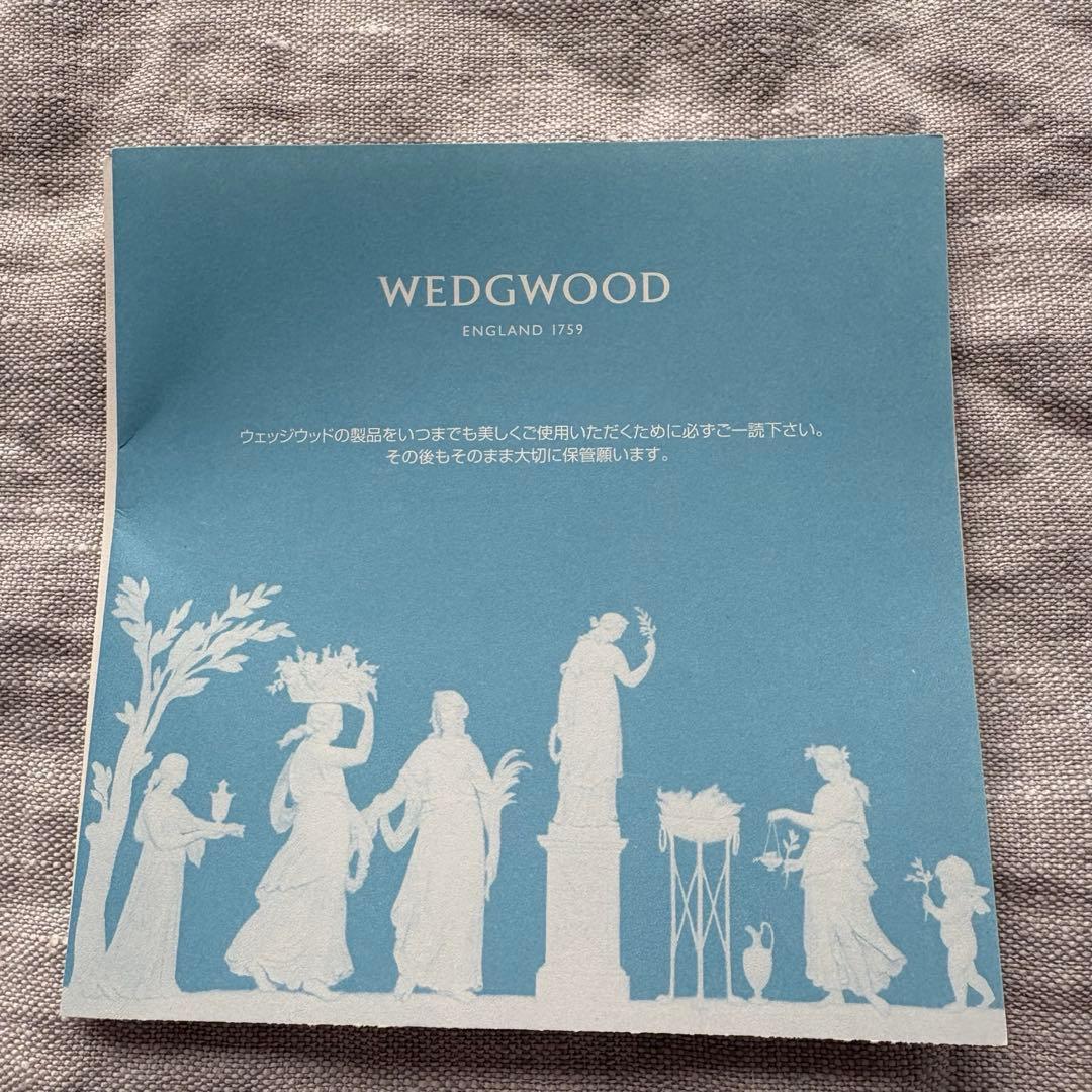 【新品未使用】 ジャスパーコンラン バロックプラチナ プレート