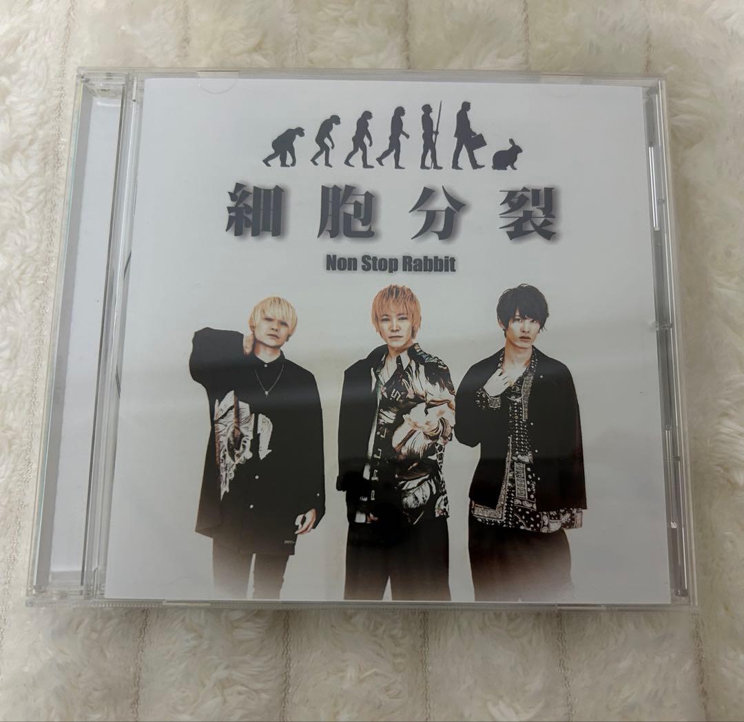 【限定セール】Non Stop Rabbit ノンラビ CDセット サイン有