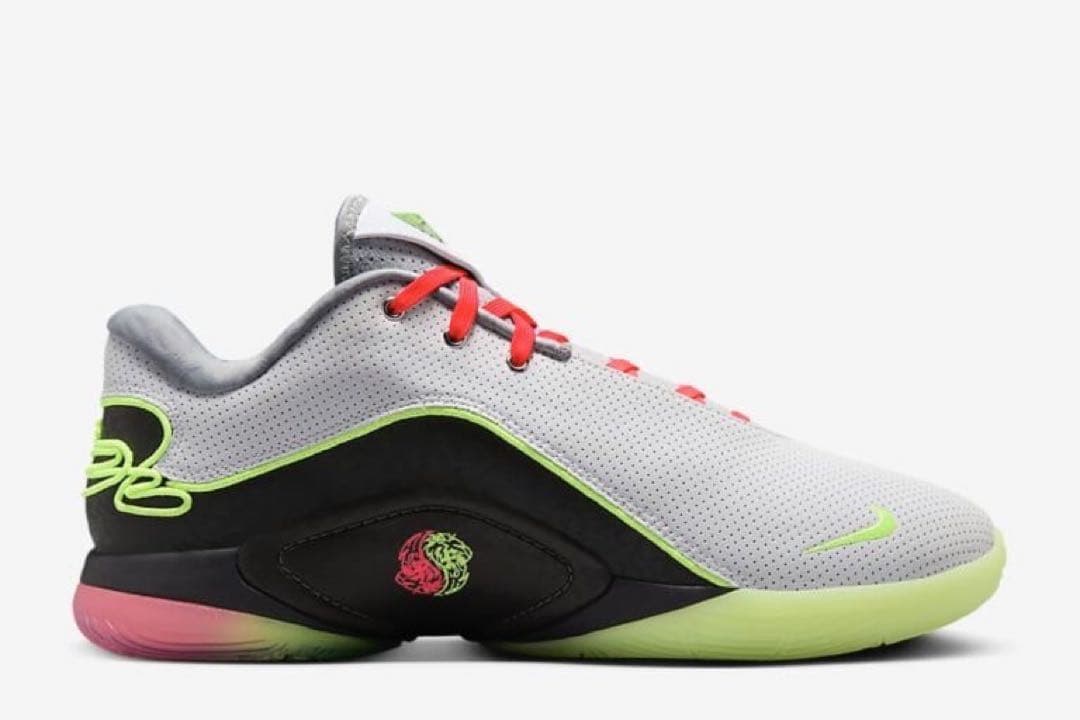 新品未使用　海外限定　ナイキ レブロン 22 EP